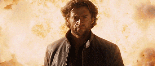 wolverine