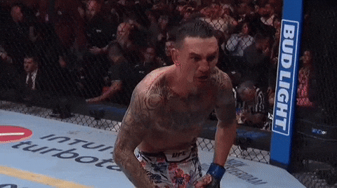 ufc