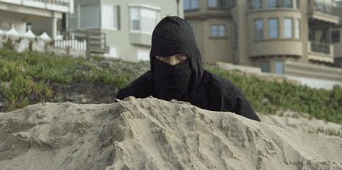 ninja